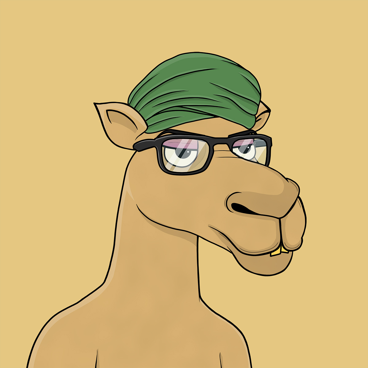 Camel #1262