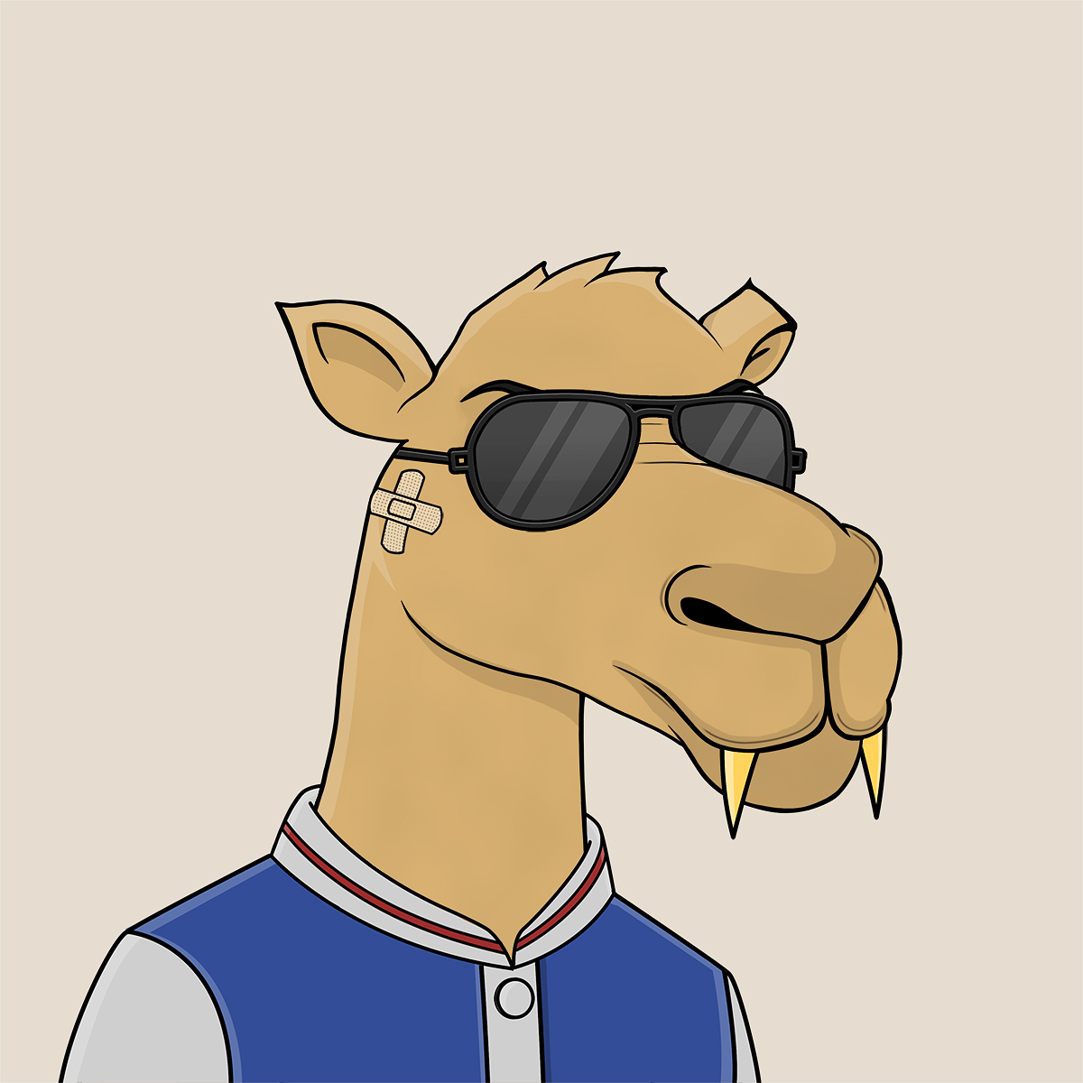 Camel #2343